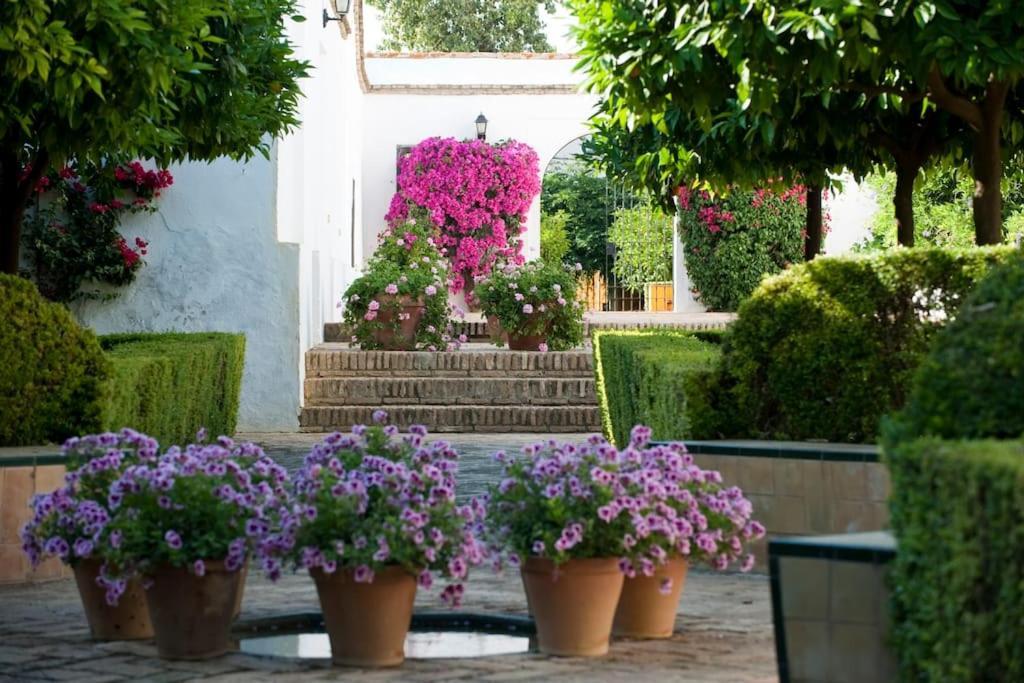 Hotel Cortijo Torre de la Reina